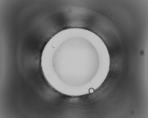 X0000102460309200808080951