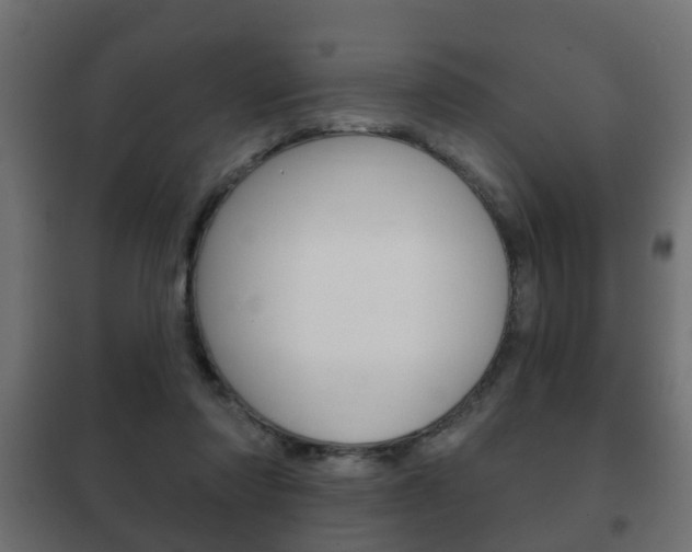 X0000102460310200808080951