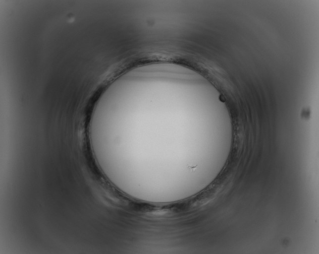X0000102460312200808080951