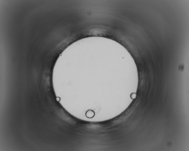 X0000102460313200808080951