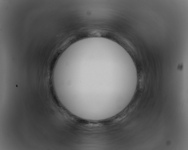 X0000102460314200808080951