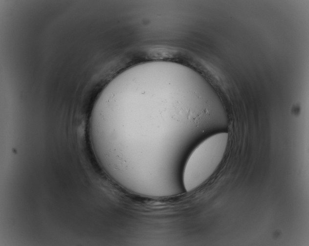 X0000102460315200808080951