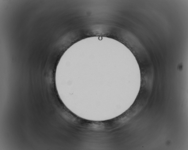 X0000102460317200808080951