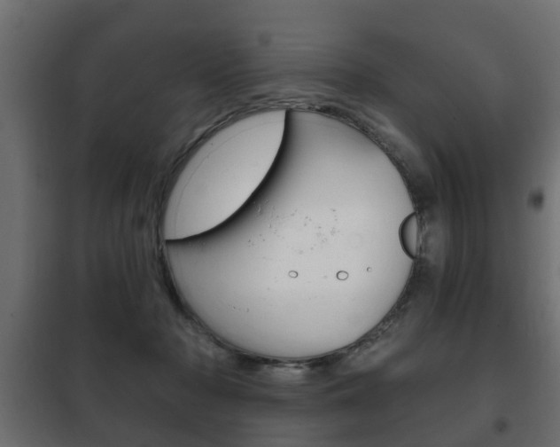 X0000102460318200808080951