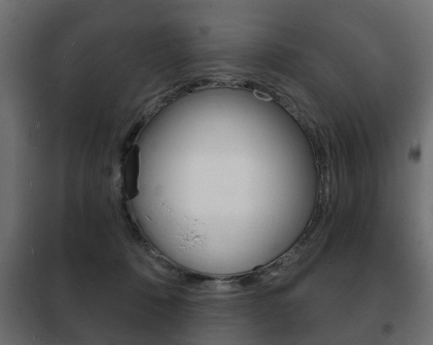 X0000102460320200808080951