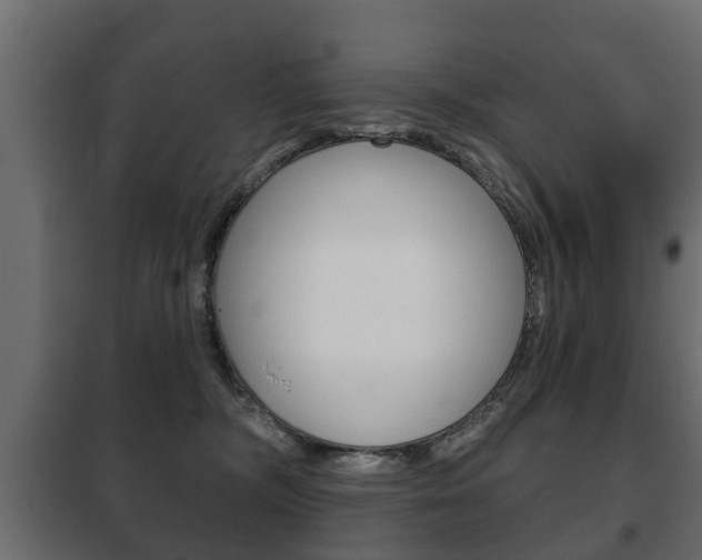 X0000102460326200808080951