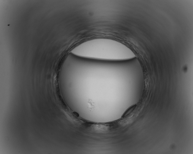 X0000102460327200808080951