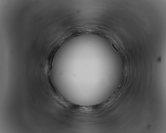 X0000102460328200808080951