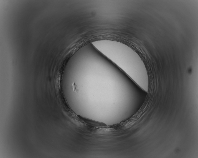 X0000102460332200808080951