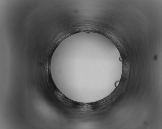 X0000102460333200808080951