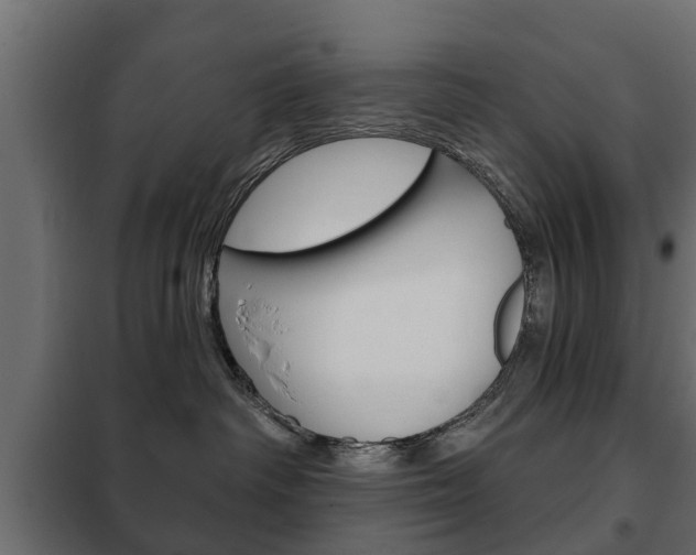 X0000102460334200808080951