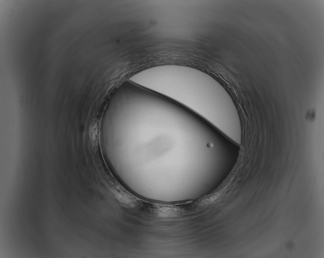 X0000102460336200808080951