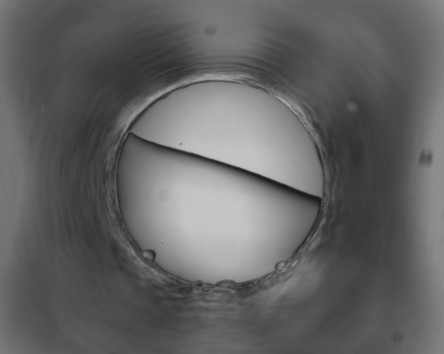 X0000102460337200808080950