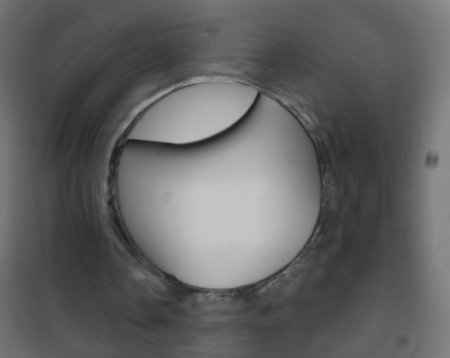 X0000102460338200808080950
