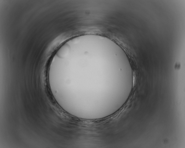 X0000102460339200808080950