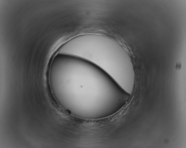 X0000102460340200808080950