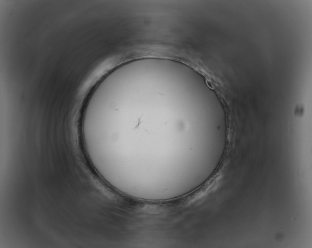 X0000102460341200808080950