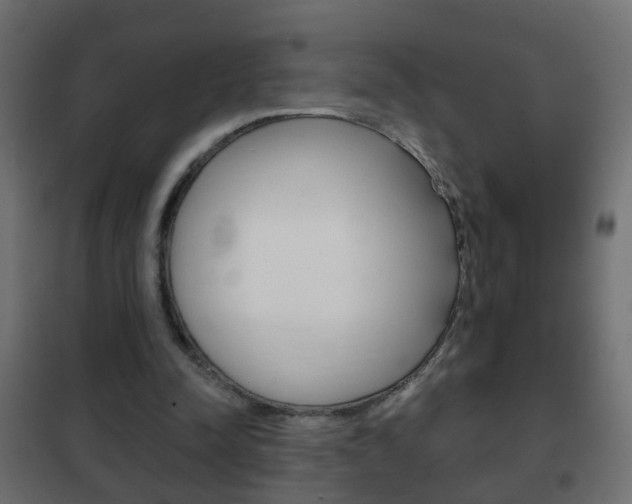 X0000102460342200808080950