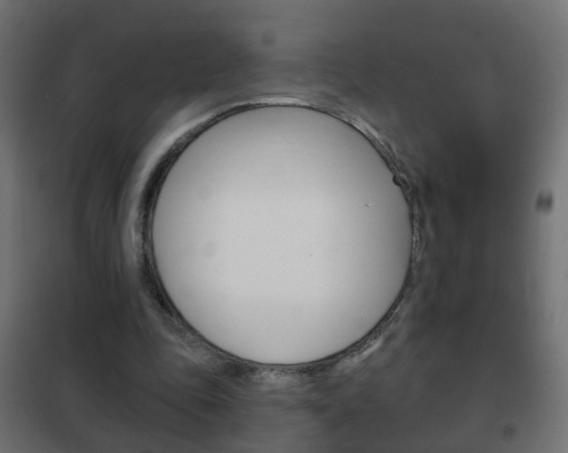 X0000102460343200808080950