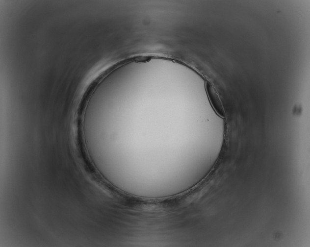 X0000102460344200808080950