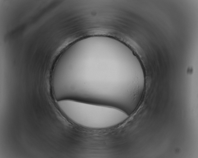 X0000102460345200808080950