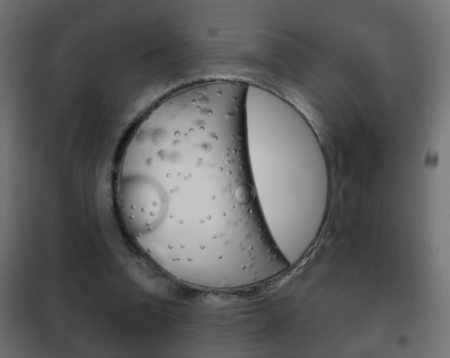 X0000102460346200808080950