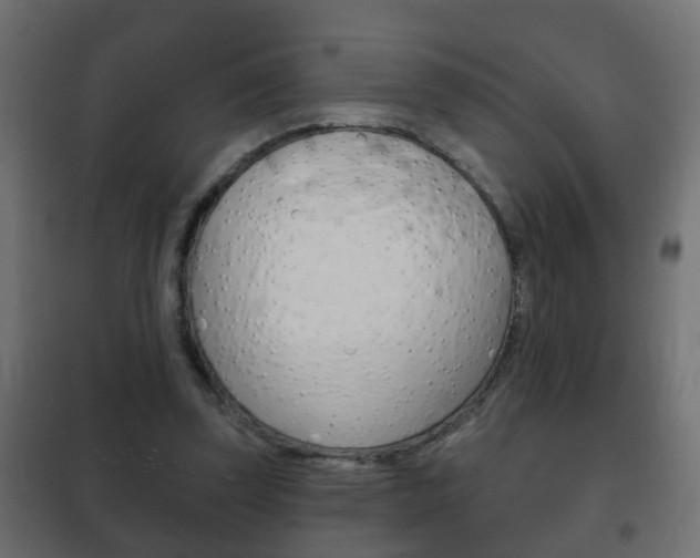 X0000102460347200808080950