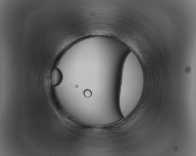 X0000102460348200808080950