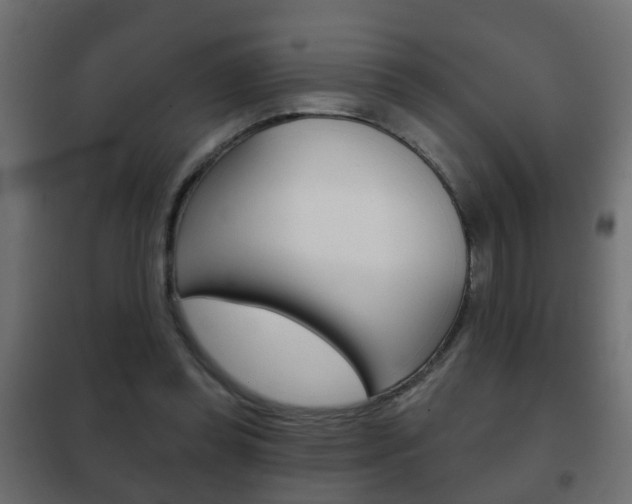 X0000102460349200808080950