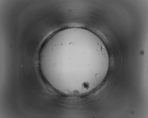 X0000102460351200808080950