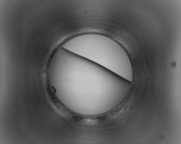 X0000102460352200808080950