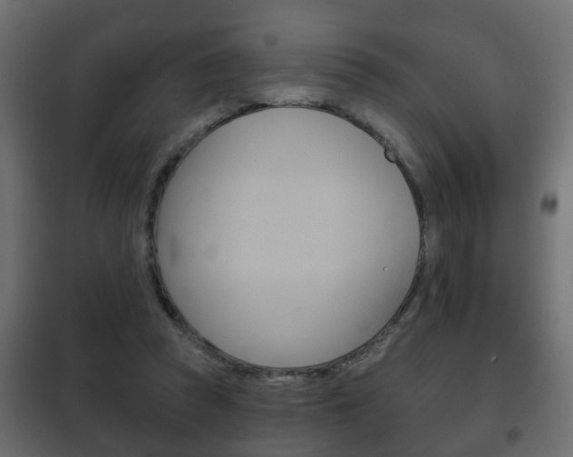 X0000102460353200808080950