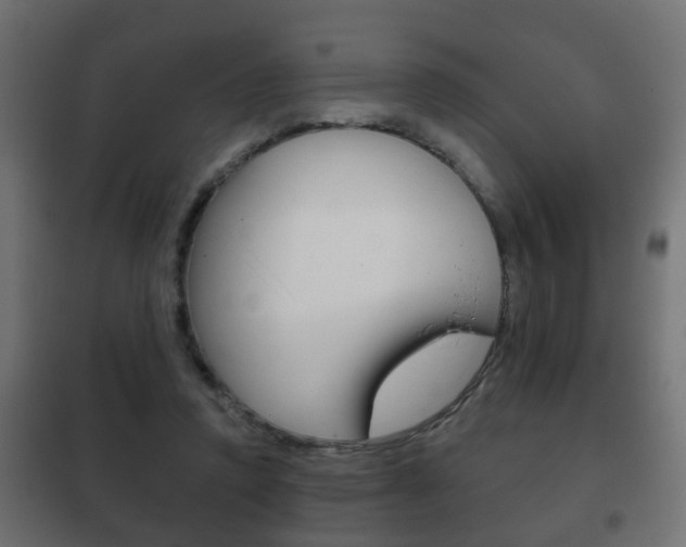 X0000102460354200808080950
