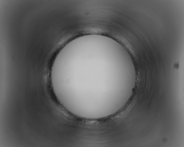 X0000102460355200808080950