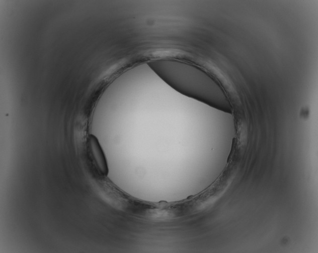 X0000102460356200808080950