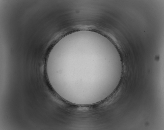 X0000102460357200808080950