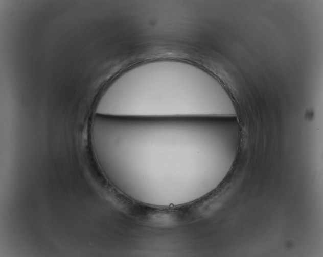 X0000102460358200808080950