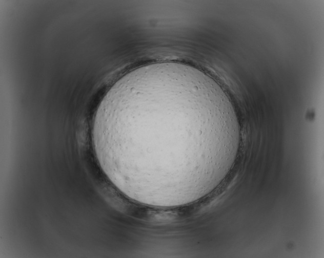 X0000102460359200808080950