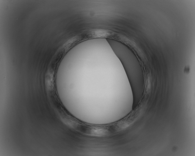 X0000102460360200808080950