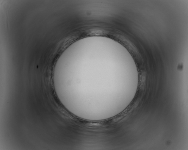 X0000102460361200808080950
