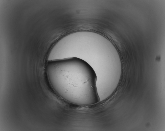 X0000102460362200808080950