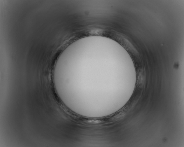 X0000102460363200808080950