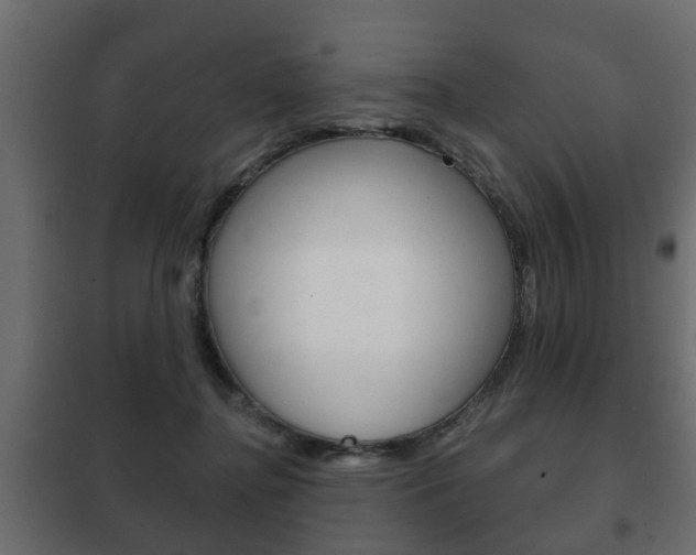 X0000102460364200808080950