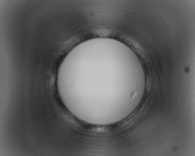 X0000102460365200808080950