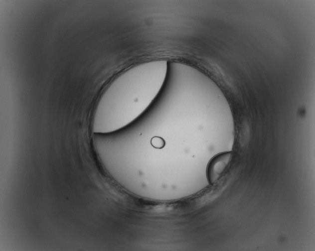 X0000102460366200808080950