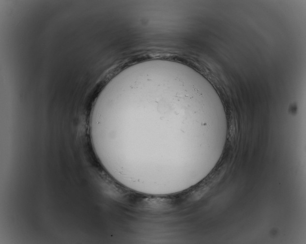X0000102460367200808080950