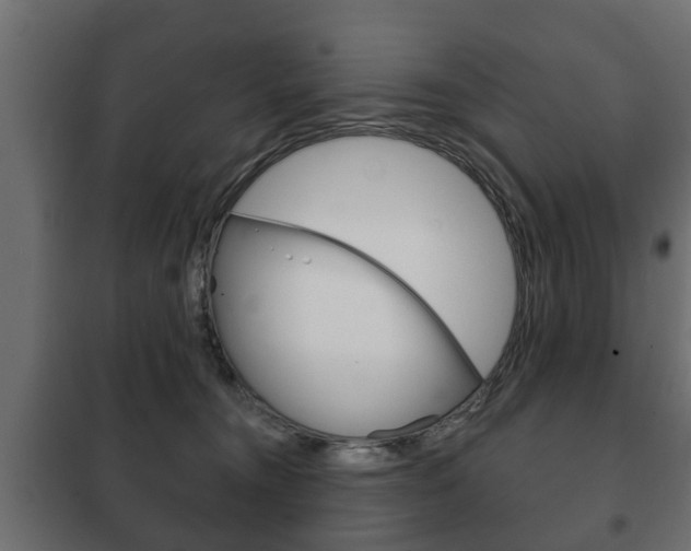 X0000102460372200808080951