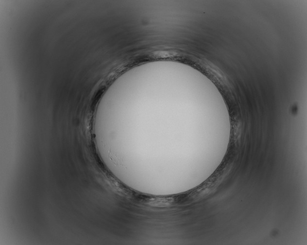 X0000102460373200808080951