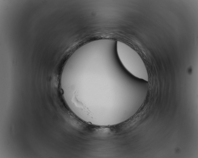 X0000102460374200808080951