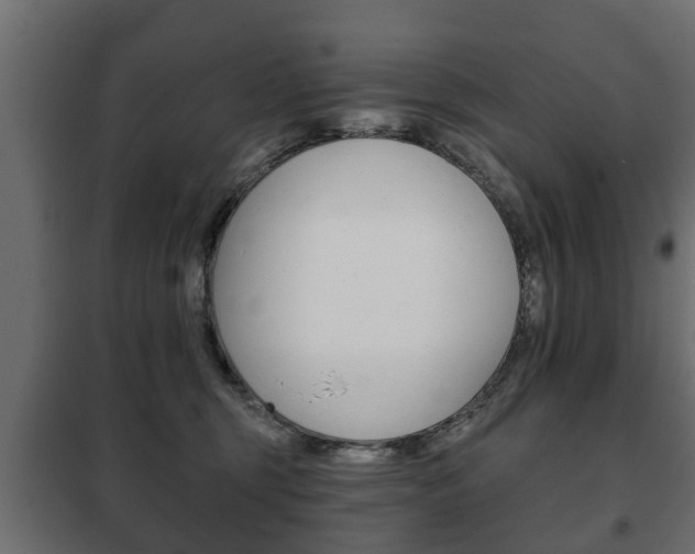 X0000102460375200808080951